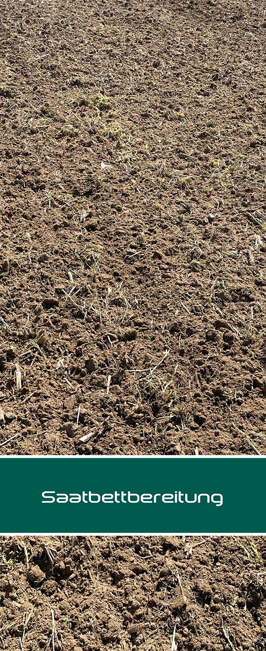 Zwischenfrucht innoMADE Messerwalze